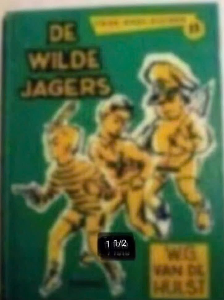 De wilde jagers door W.G.van de Hulst Jr., Ophalen of Verzenden, Gelezen, Fictie algemeen