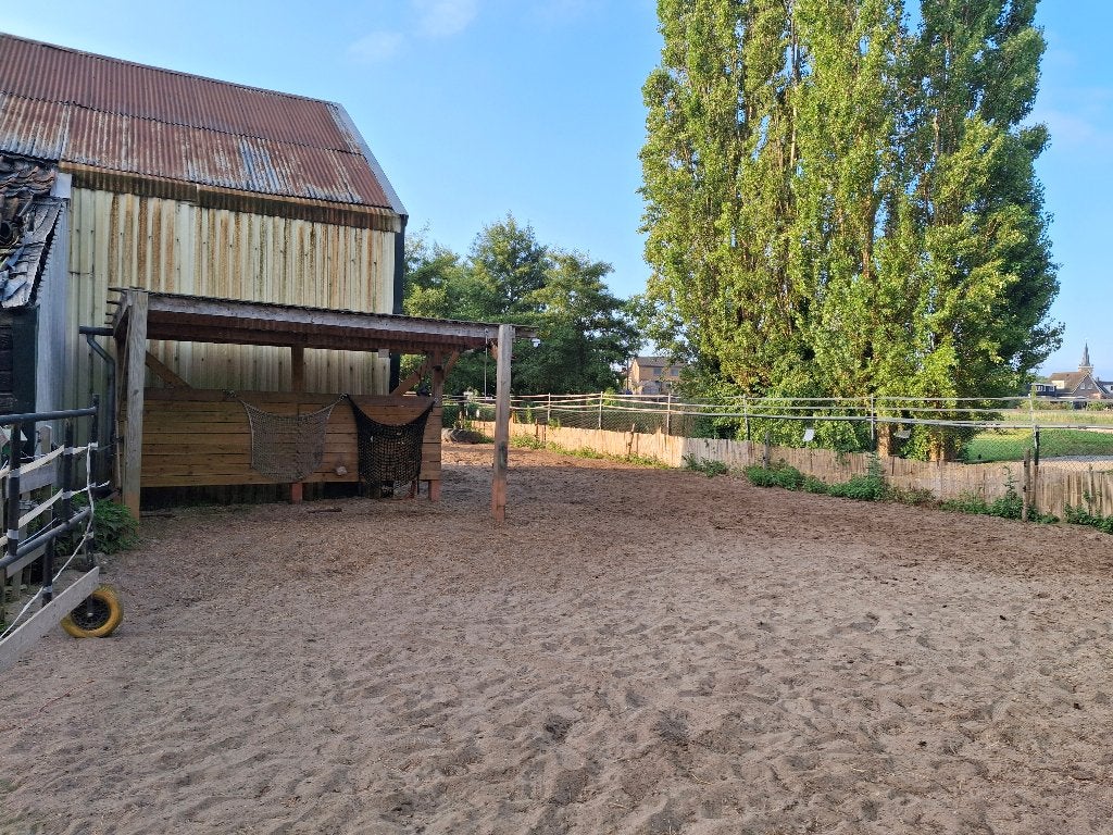 Paddock (24/7) beschikbaar (nabij Aalsmeer), Dieren en Toebehoren, Stalling, 2 of 3 paarden of pony's