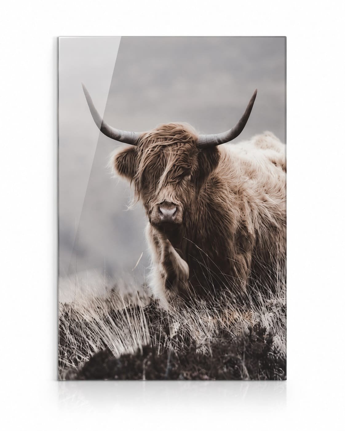 Glas schilderijen – diverse dieren, Ophalen of Verzenden, Nieuw, Schilderij