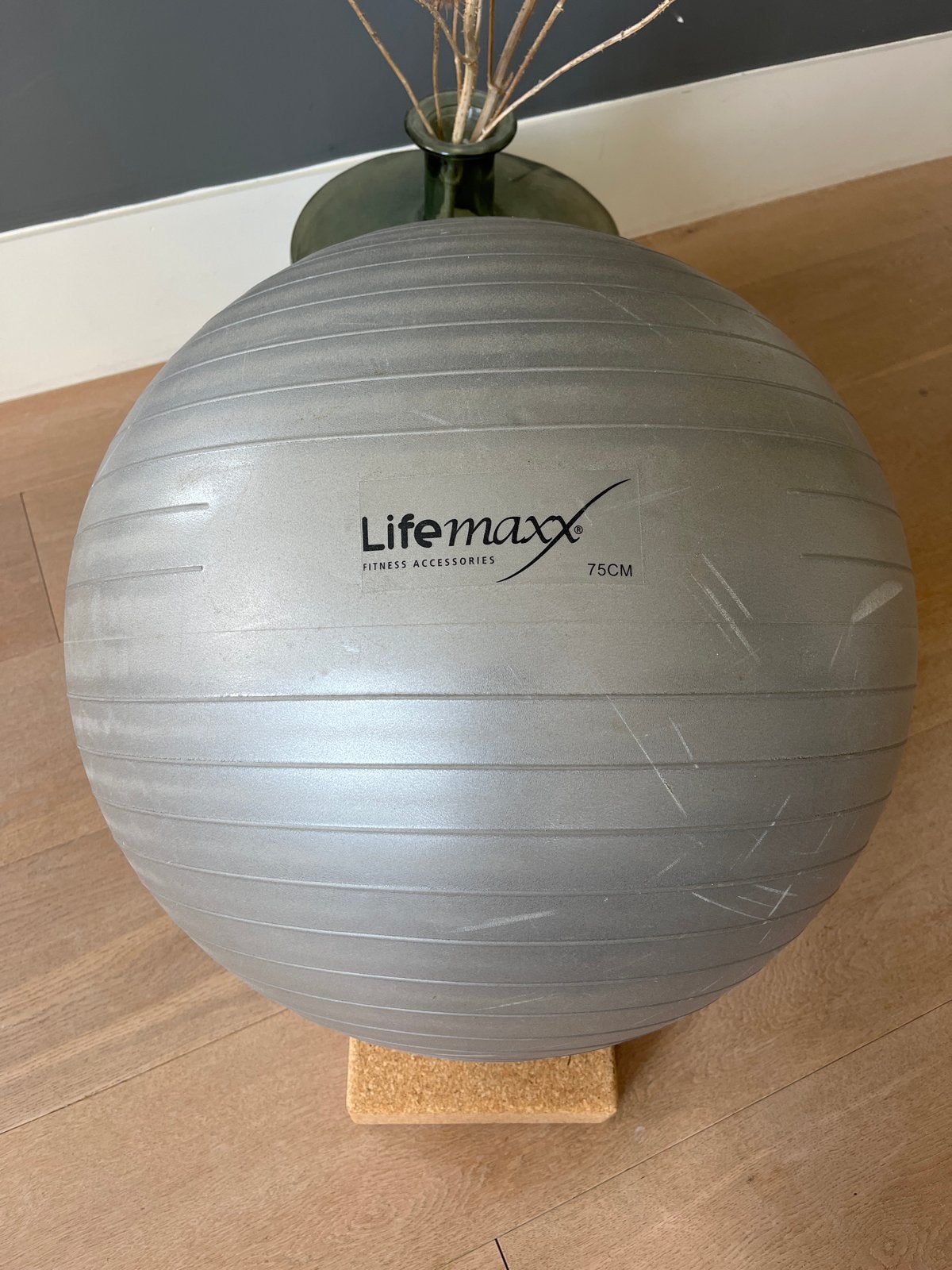 LifeMaxx Fitnessbal 75cm - Grijs, Ophalen of Verzenden, Gebruikt, Buik, Fitnessbal