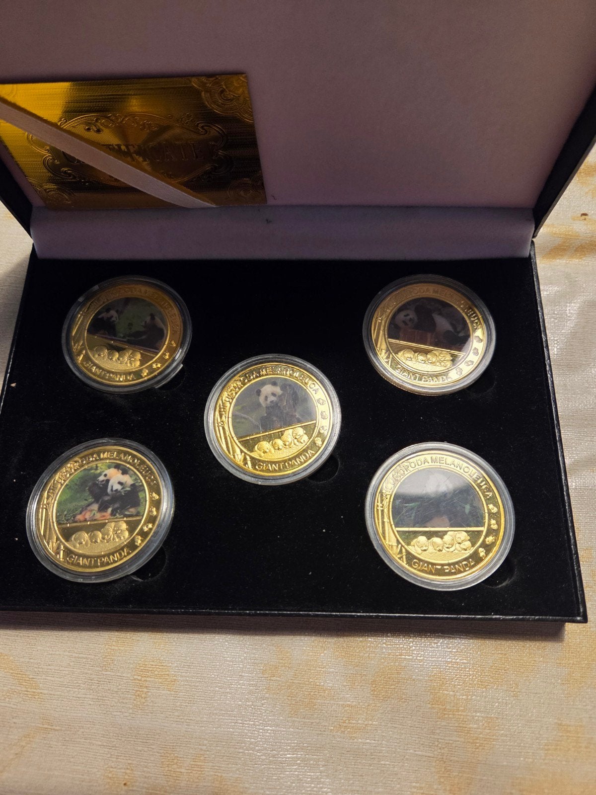 Verzameling van 5 Goudkleurige Panda Munten in Luxe Box, Ophalen of Verzenden, Overige materialen, Buitenland