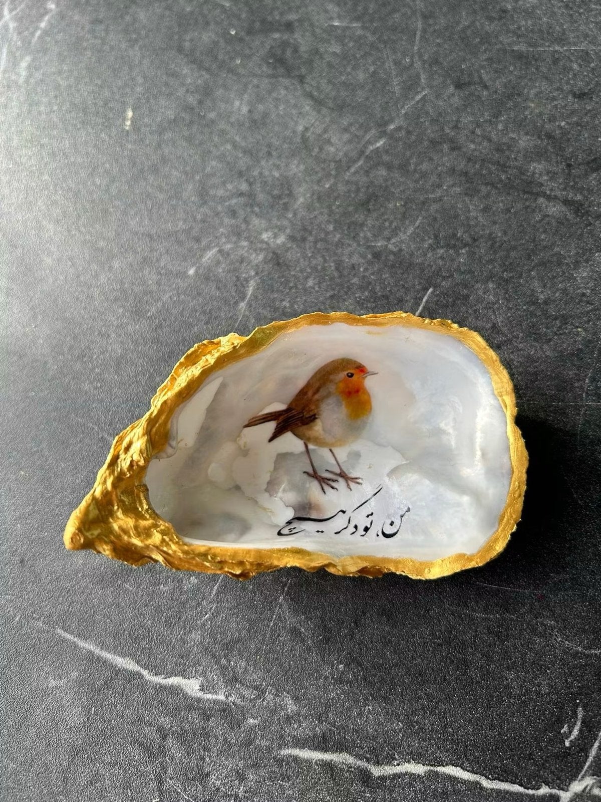 oesterschelpen roodborstje rood met vogels elke vogel kan, Ophalen of Verzenden, Nieuw