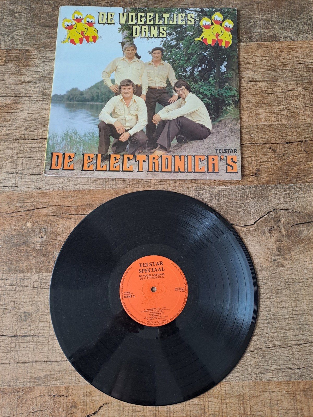 De Electronica's - De Vogeltjesdans LP (Telstar Special), Ophalen of Verzenden, 1970 - 1979, Gebruikt, 12 inch