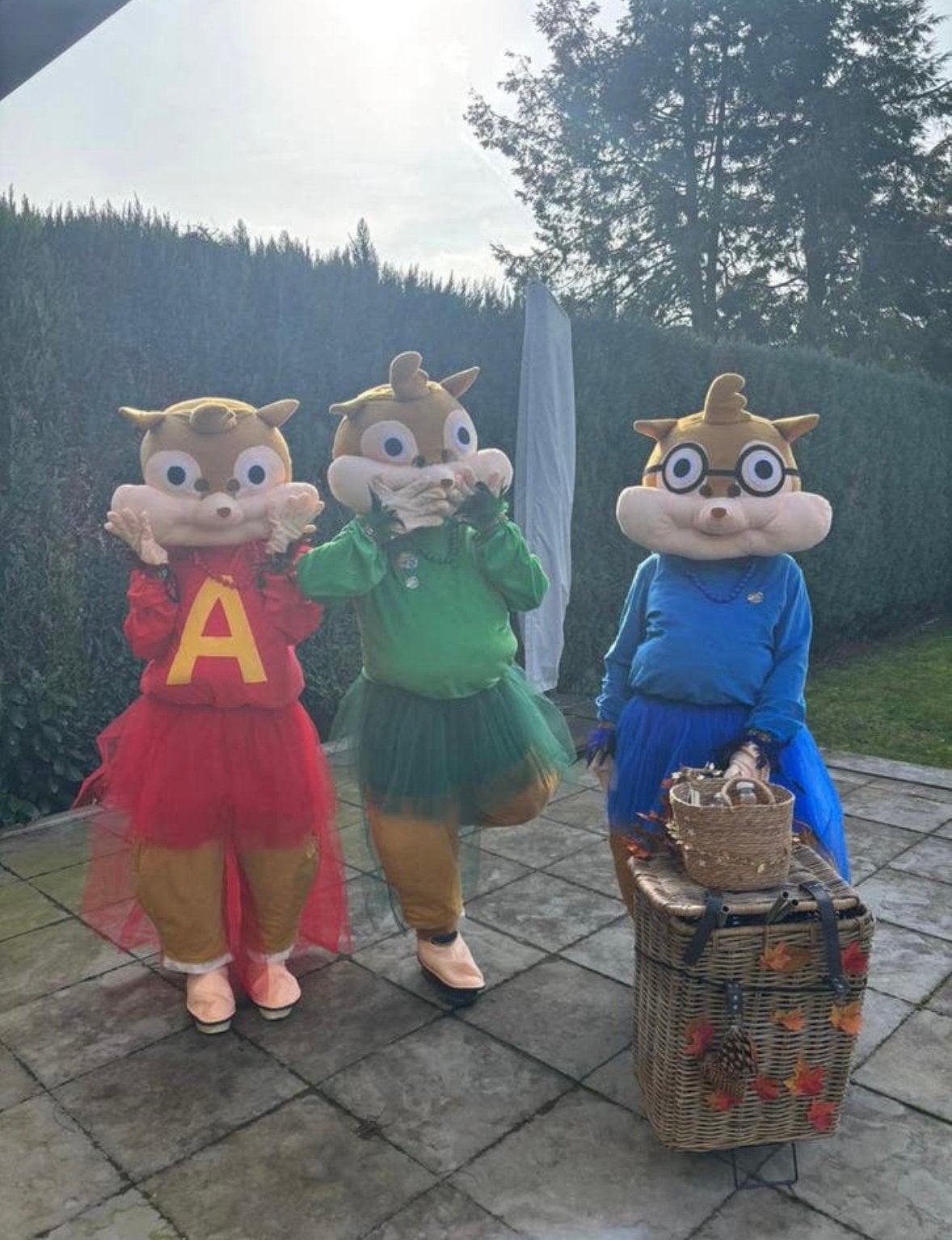 Chipmunck pakken, Ophalen of Verzenden, Carnaval