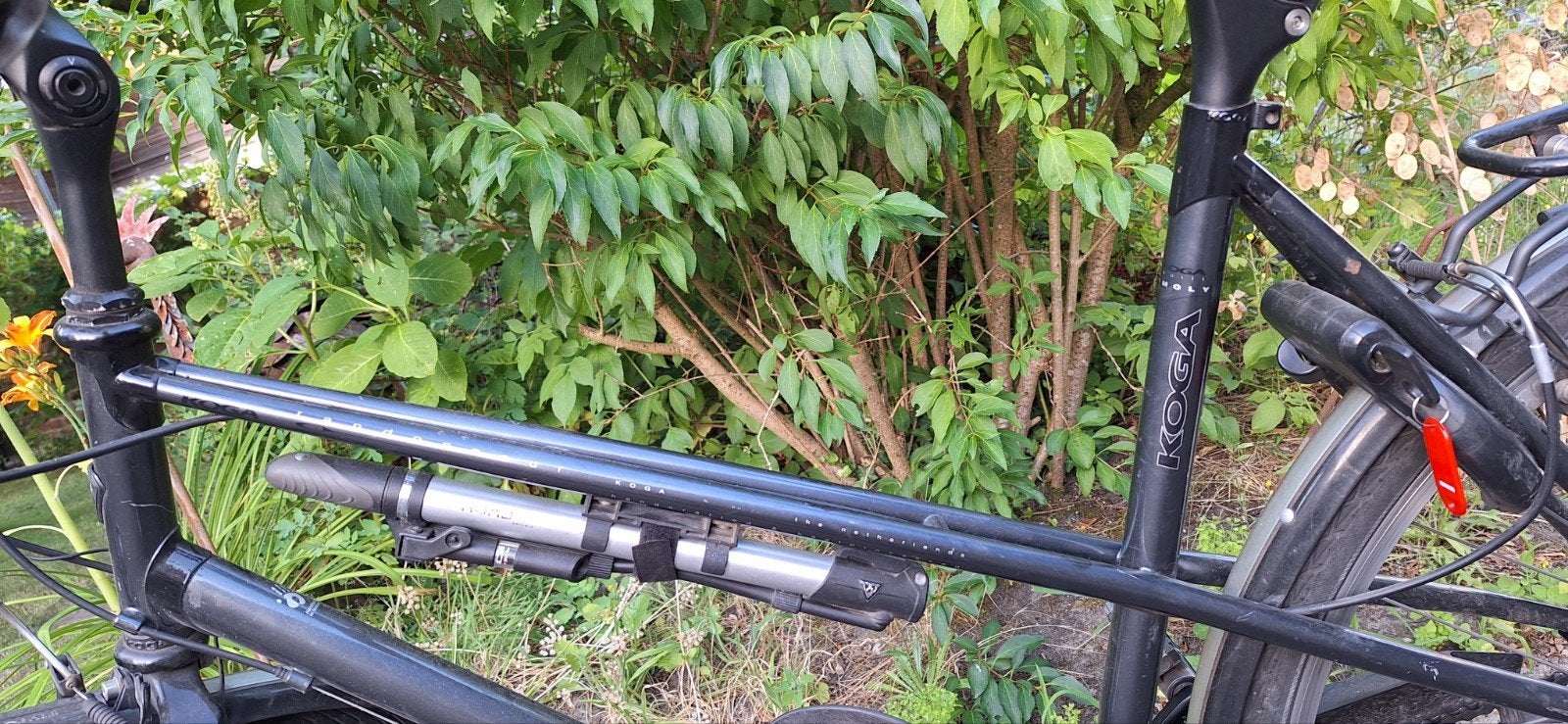 Koga Damesfiets Randonneur, Ophalen, Gebruikt, Overige merken, Versnellingen