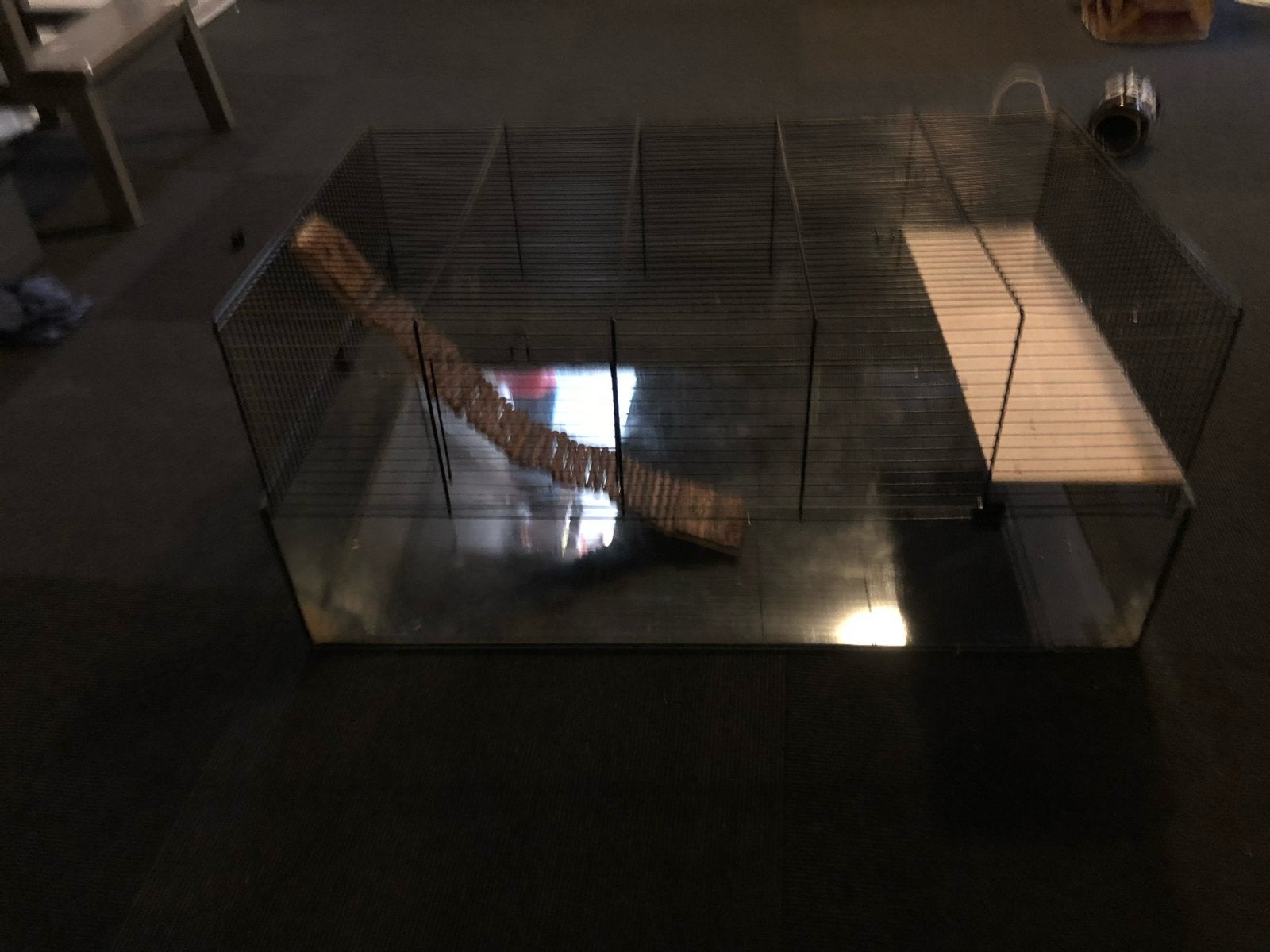 Hamster kooi + spullen, Kooi, Zo goed als nieuw, Hamster, 75 tot 110 cm