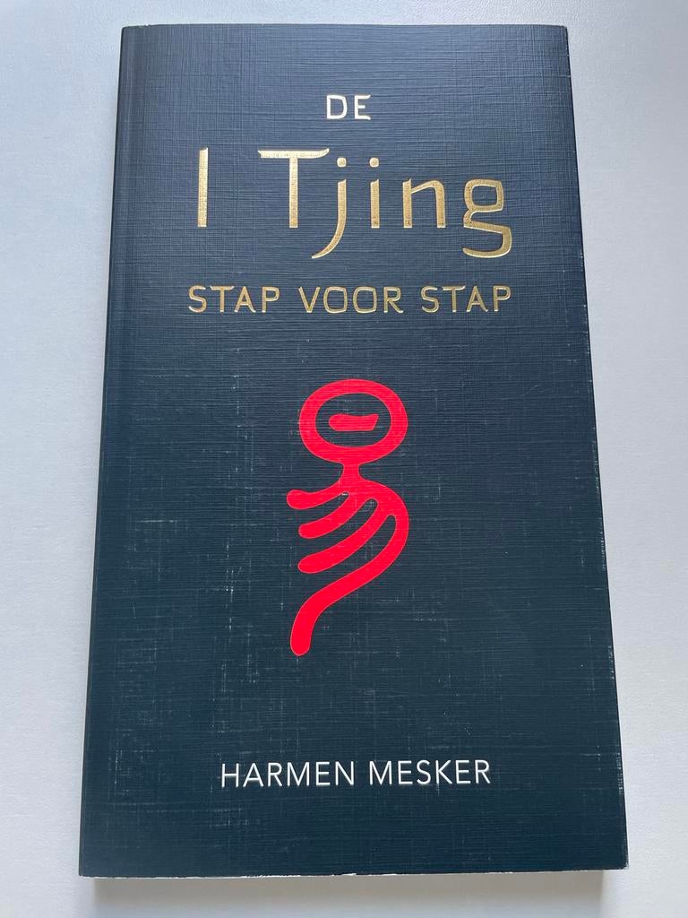 De I Tjing Stap voor Stap - Harmen Mesker, Ophalen of Verzenden, Zo goed als nieuw