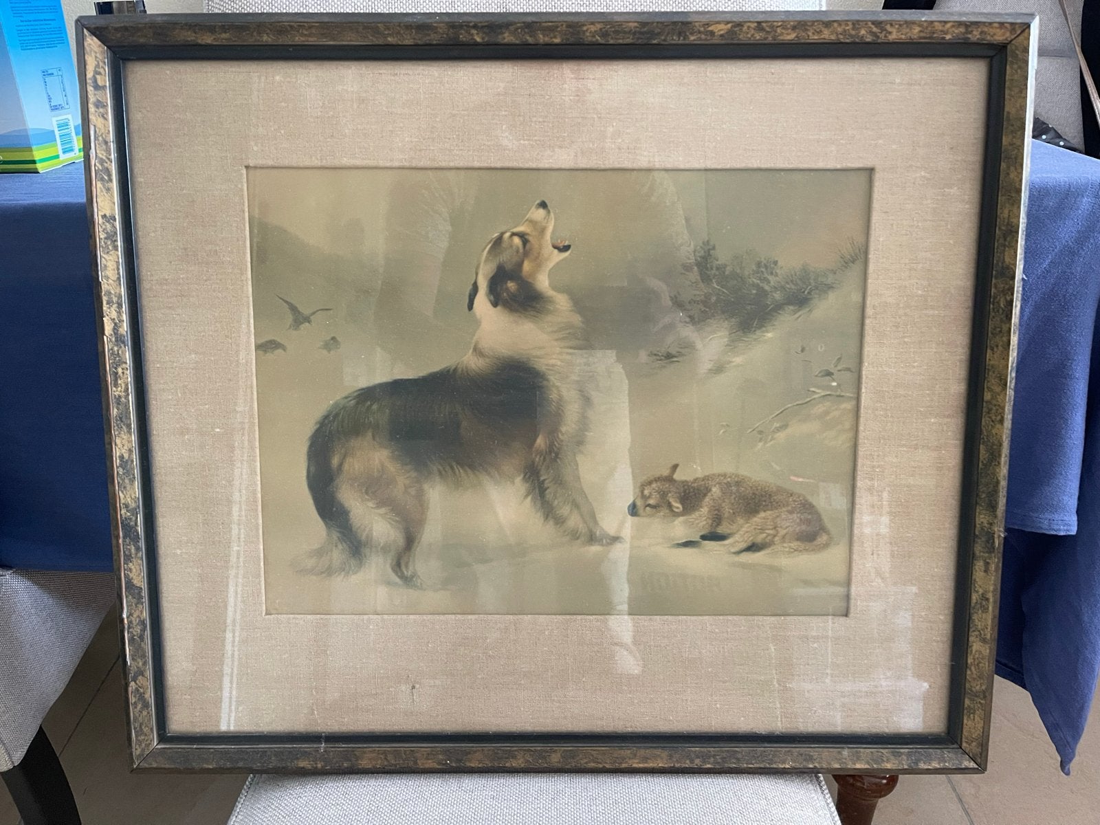 Vintage schilderij: Huilende hond met puppy, Ophalen, Dieren, Klassiek, Print