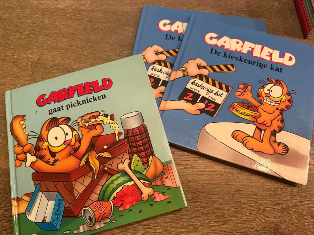 Garfield Boekjes: Gaat Picknicken & De Kieskeurige Kat, Ophalen of Verzenden, Gelezen, Fictie algemeen