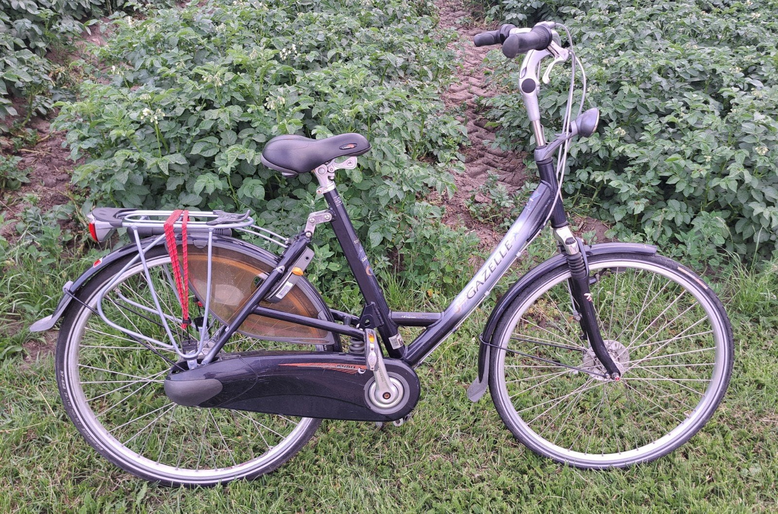 Mooie Gazelle Touché met 7 versnellingen,, Ophalen, Gebruikt, Versnellingen, 56 cm of meer