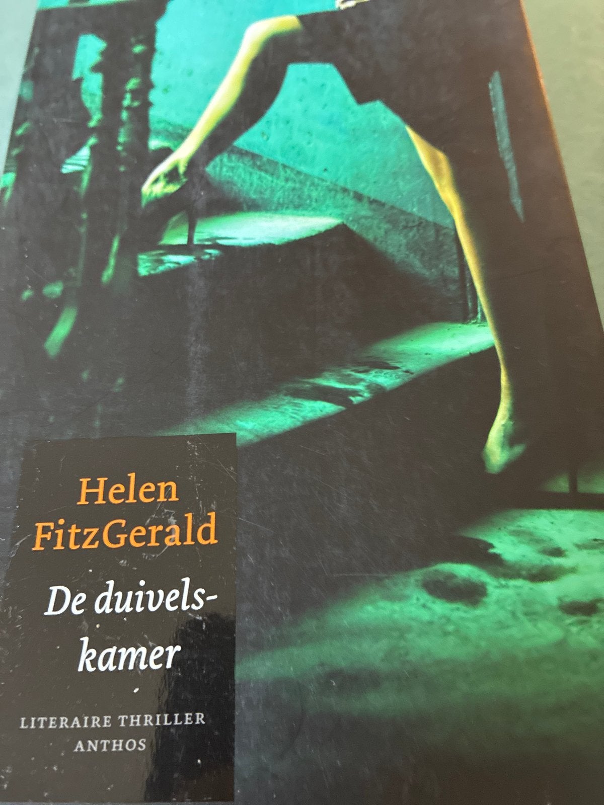 Helen FitzGerald - De duivelskamer (Literaire thriller), Boeken, Ophalen of Verzenden, Zo goed als nieuw, Wereld overig