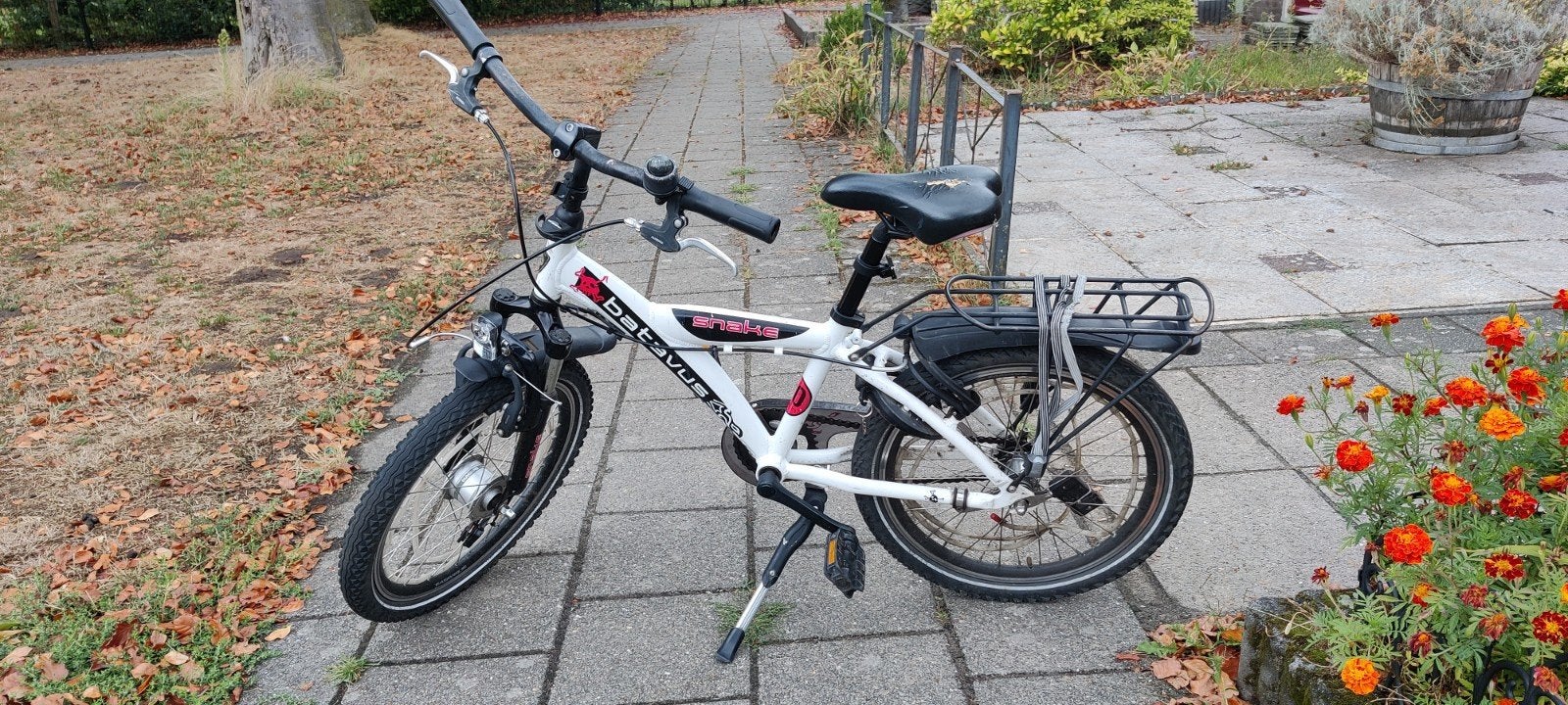 Batavus Snake 20 inch jongensfiets, Fietsen en Brommers, Ophalen, Gebruikt, Batavus Snake, Terugtraprem