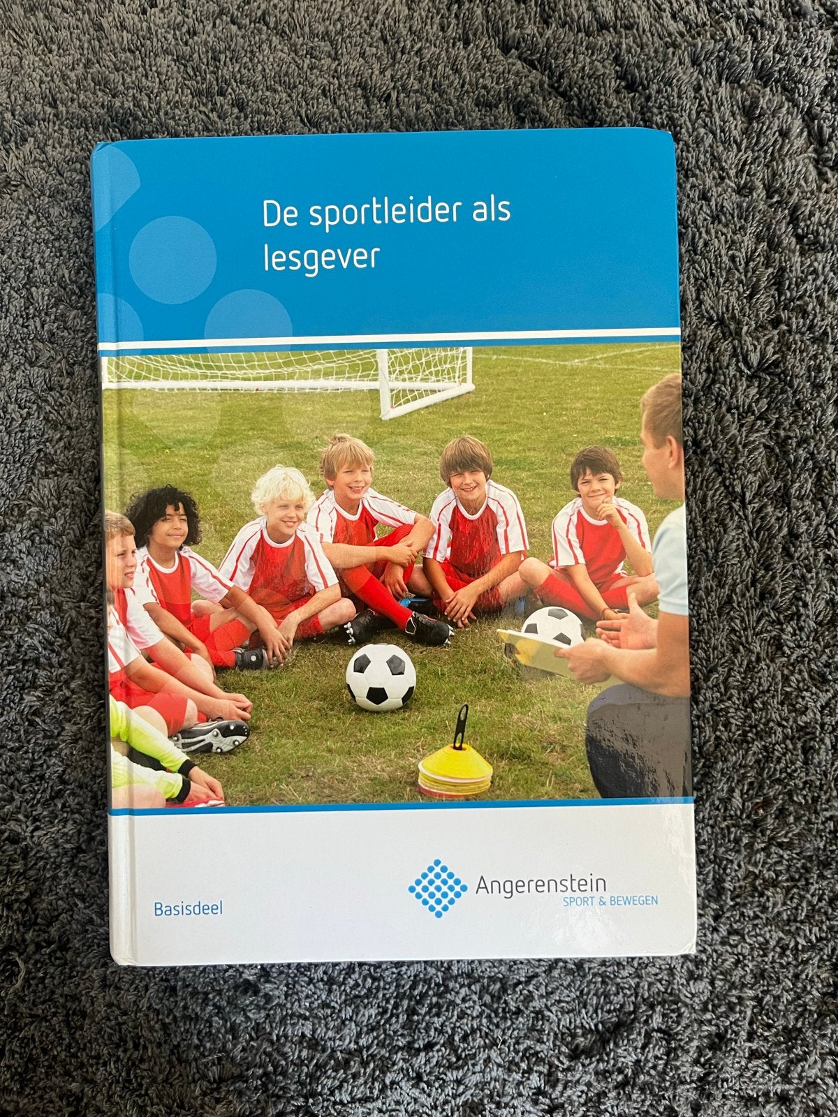 De sportleider als lesgever - Angerenstein Sport & Bewegen, Boeken, Ophalen of Verzenden, Gamma, Gelezen, MBO