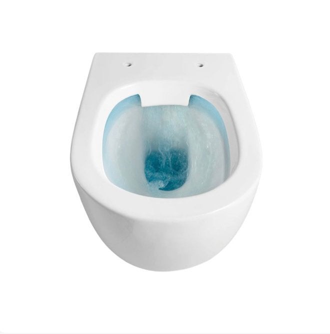 WC en WC + Bidet, Doe-het-zelf en Verbouw, Ophalen, Zo goed als nieuw, Rvs, Toilet