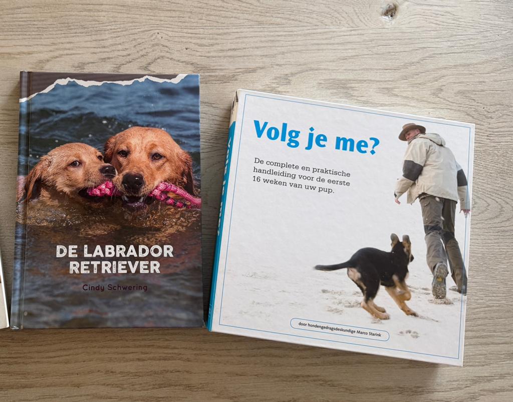 Boeken: Puppy opvoeden & De Labrador Retriever (3 stuks), Boeken, Ophalen of Verzenden, Gelezen, Honden