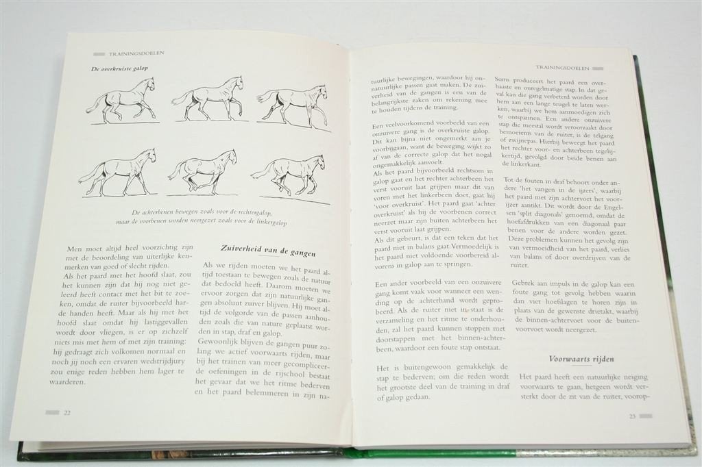Dressuurtraining — Oefeningen Voor Paard & Ruiter, Ophalen of Verzenden, Gelezen, Paarden of Pony's