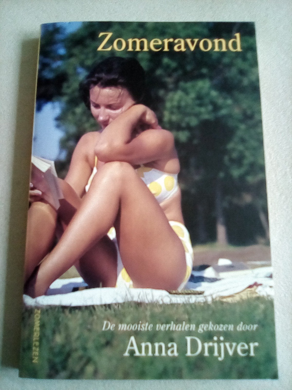 Zomeravond de mooiste verhalen gekozen door Anna Drijver, Ophalen of Verzenden, Zo goed als nieuw