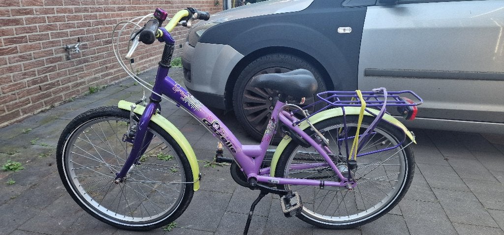Kinderfietsje 20 inch, Ophalen, Gebruikt, Velgrem, 20 inch of meer