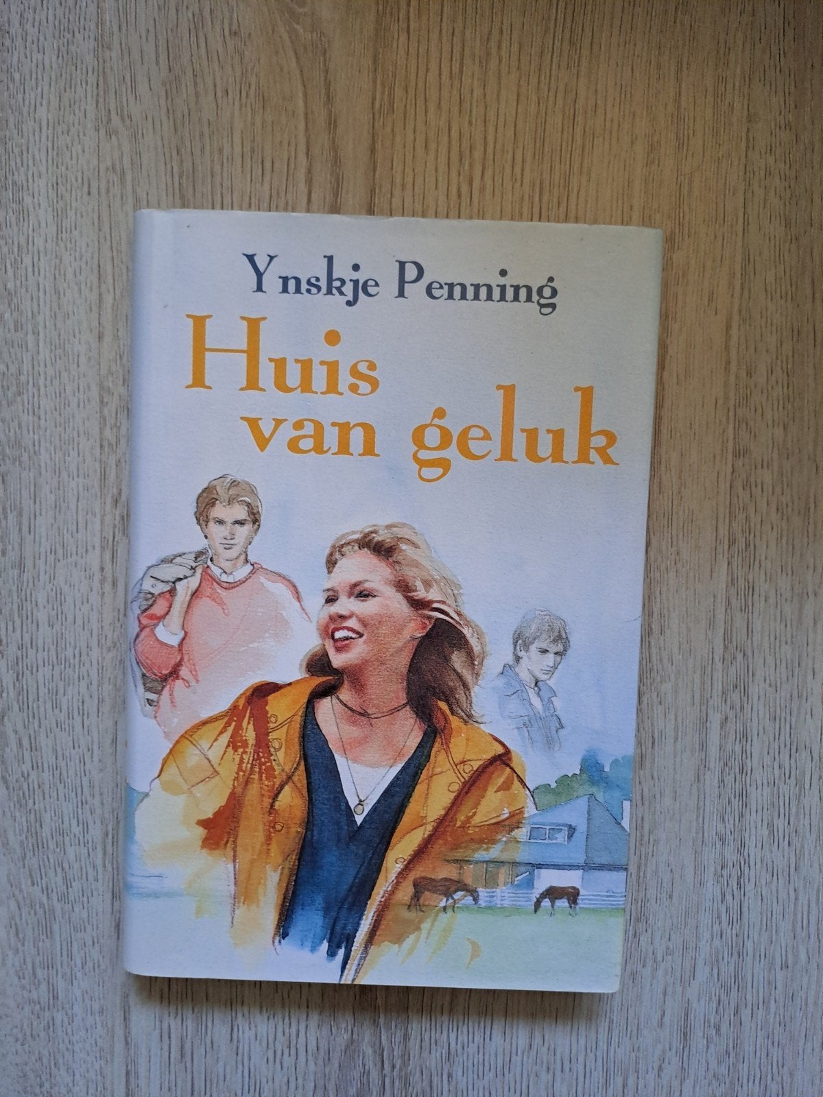 Huis van Geluk Ynskje Penning roman, Boeken, Romans, Ophalen of Verzenden, Gelezen, Ynskje Penning, Nederland