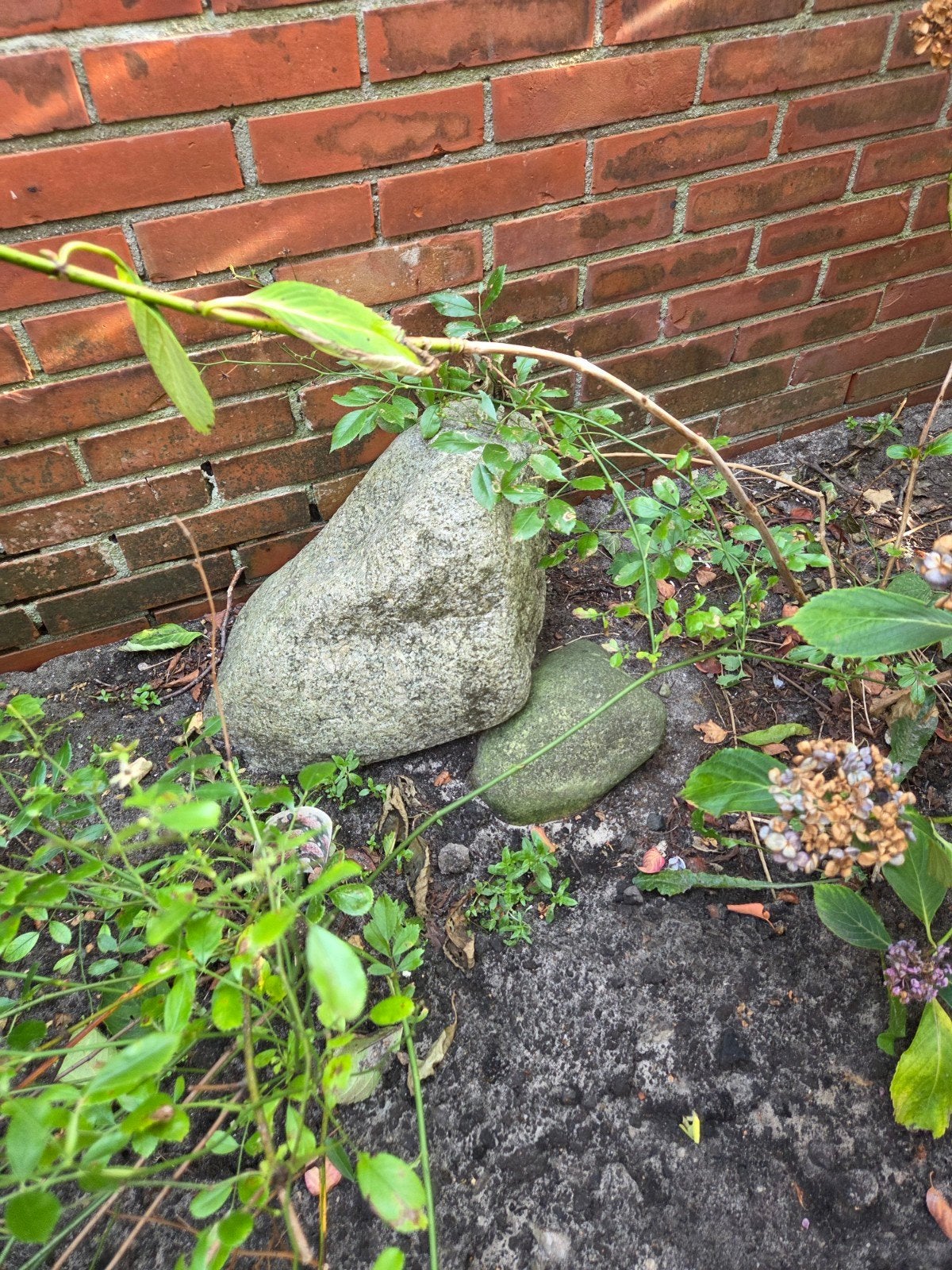 Grote natuurstenen voor tuin of decoratie, Ophalen, Overige materialen, Gebruikt, Kei