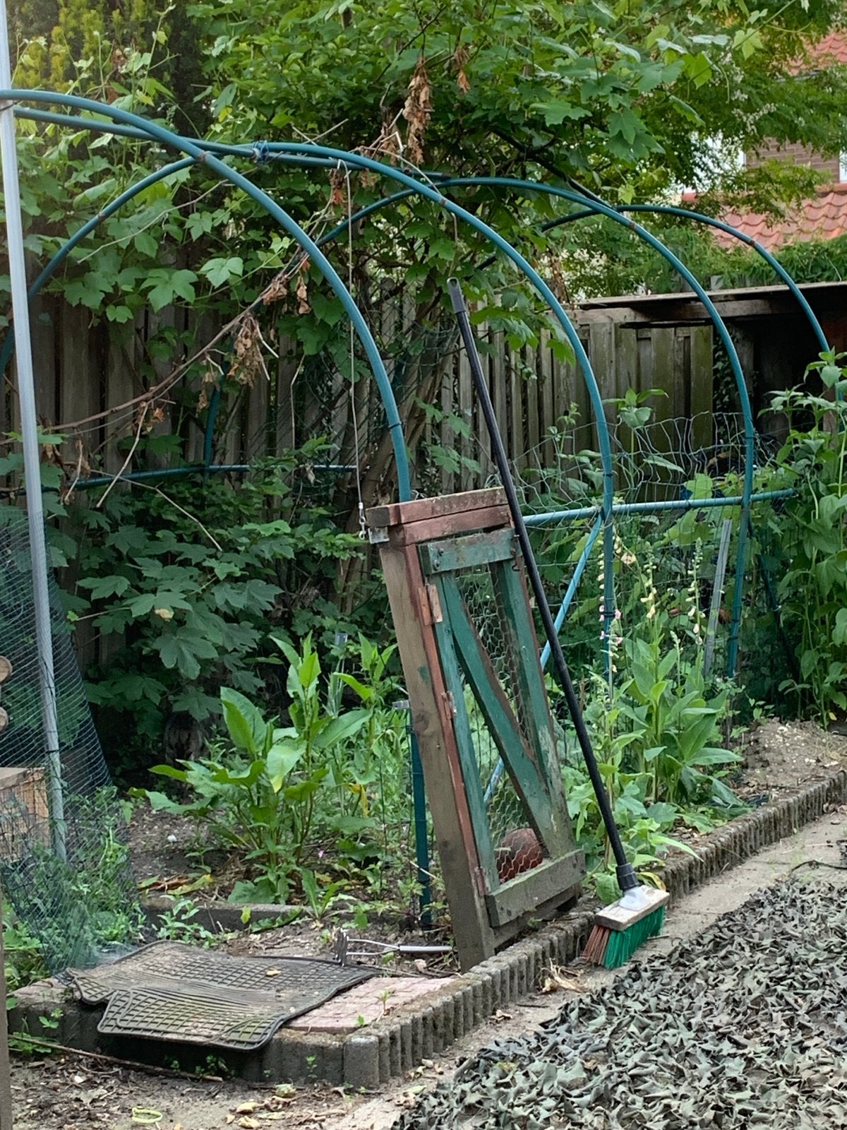 tunnelkas / kippenren / konijnenren (zelf afbreken), Staal, Gebruikt, Overige materialen, Kweekkas