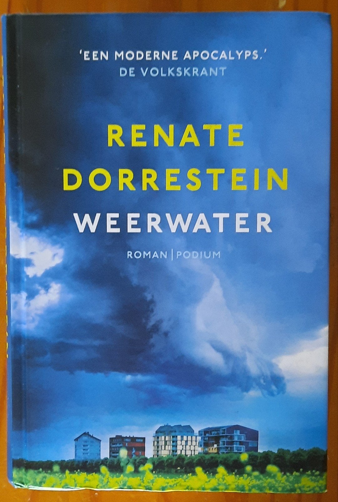 Weerwater - Renate Dorrestein (boek), Ophalen of Verzenden, Gelezen, Renate Dorrestein