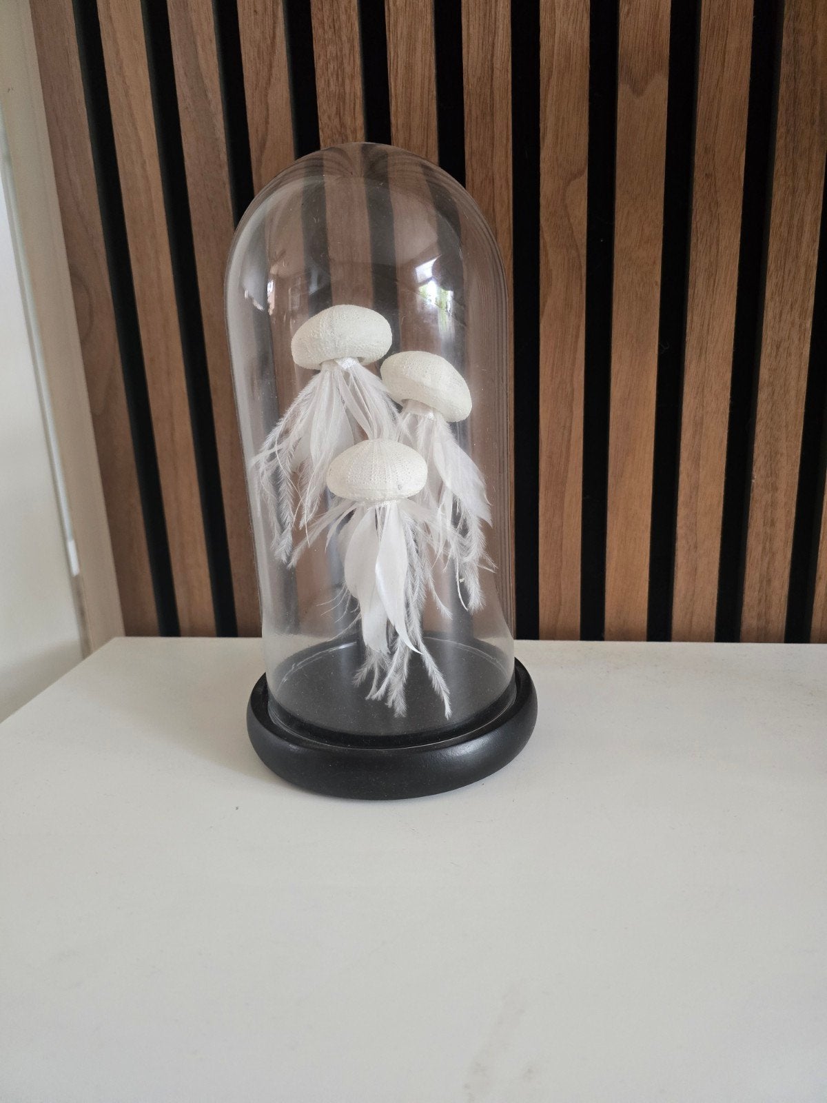 Decoratieve kwallen onder glazen stolp, Ophalen of Verzenden, Zo goed als nieuw, Modern, Wit