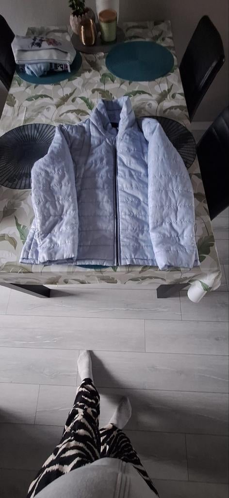 Lichtblauwe gewatteerde jas van Pescara, maat XL, Kleding | Dames, Jassen | Winter, Blauw, Maat 46/48 (XL) of groter, Pescara