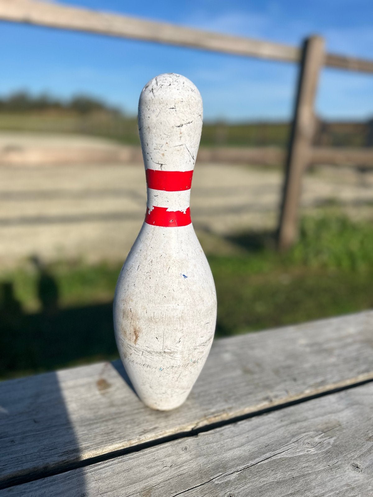 Vintage Bowling Kegel - (10 stuks), Ophalen, Gebruikt