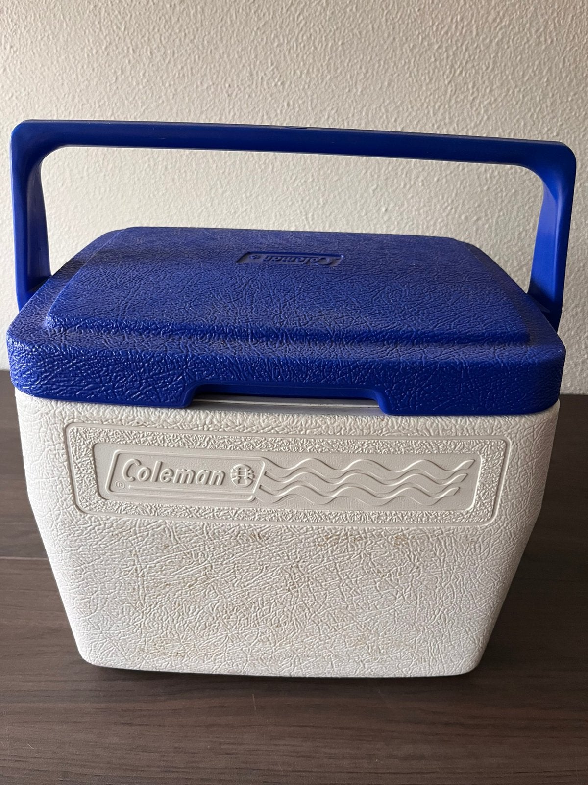 Kleine Coleman koelbox, Caravans en Kamperen, Ophalen, Gebruikt, Koelbox, Koelelement