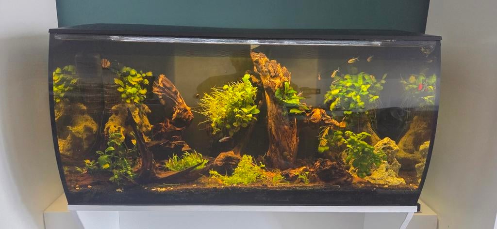 Fluval complete aquarium +/- 123 liter met kast, Ophalen, Fluval, Inclusief toebehoren, Gevuld zoetwateraquarium