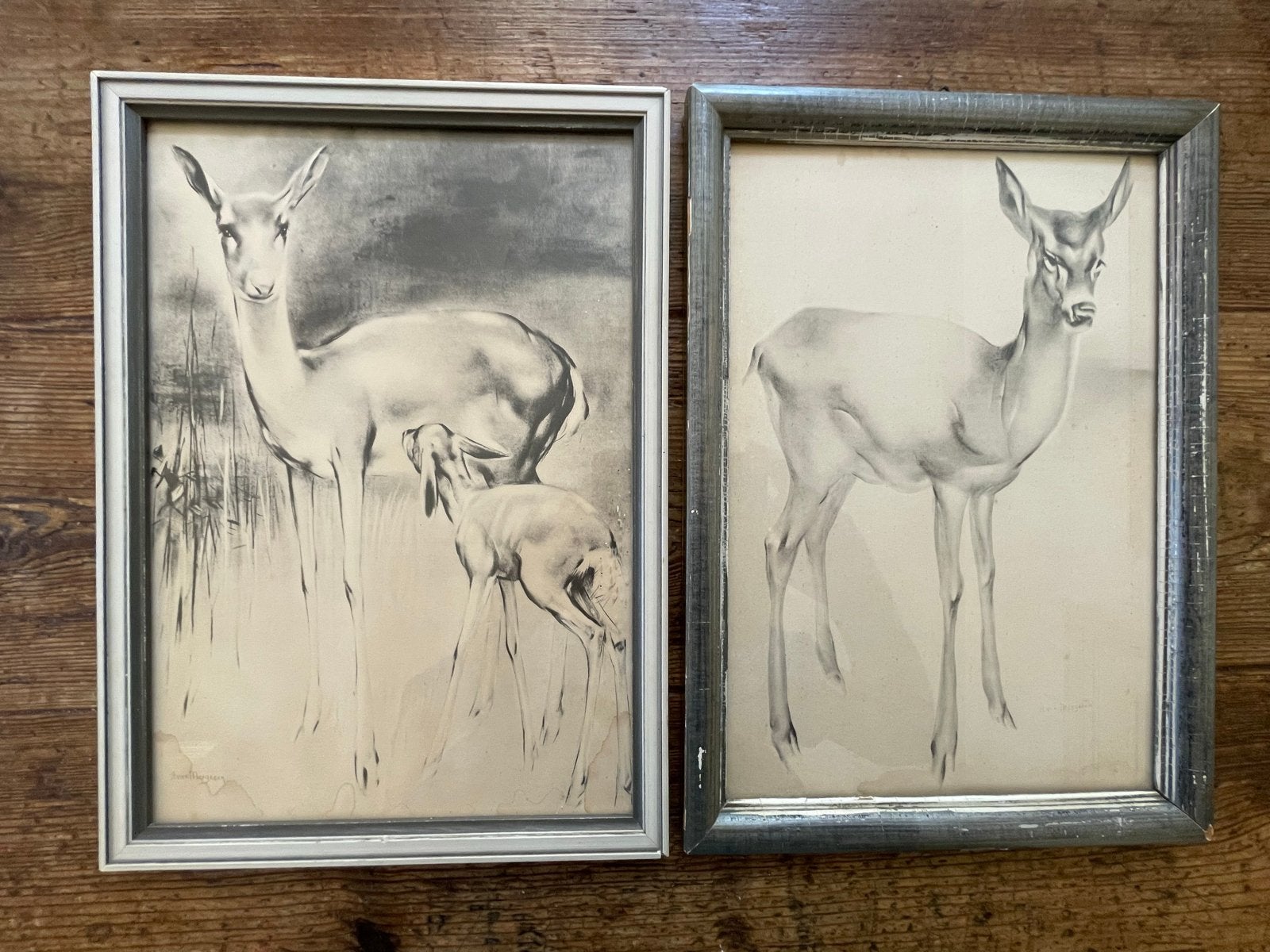 2 Vintage Schilderijtjes met Hertjes - Ingelijst, Dieren, Ophalen of Verzenden, Tekening, Papier