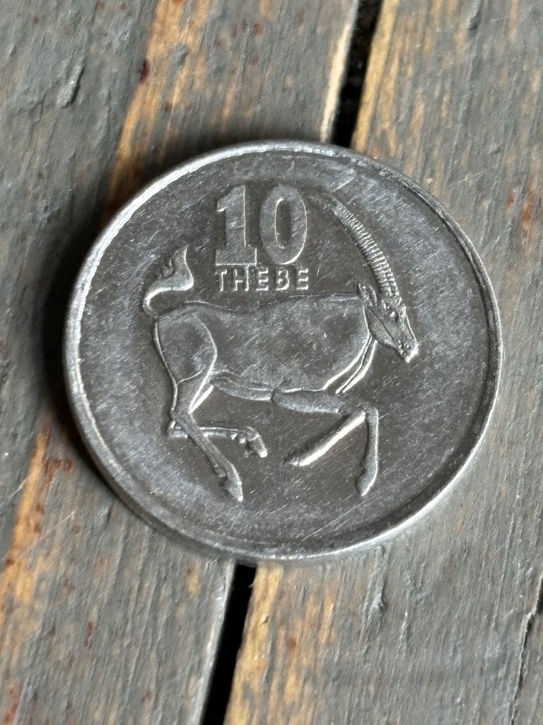 10 Thebe 1998 Botswana, Postzegels en Munten, Munten | Afrika, Ophalen of Verzenden, Overige landen, Losse munt