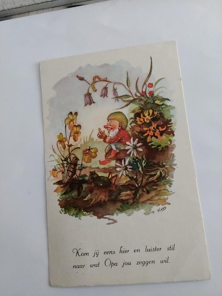 KOEN / KABOUTER  BIJ DIEREN IN BOS. 1959, Ophalen of Verzenden, 1940 tot 1960