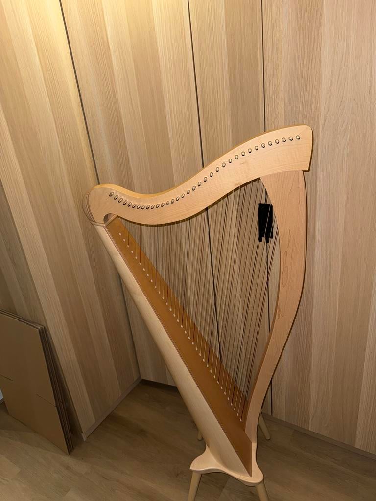 Lyon & Healy Drake Lever Harp – prachtige staat, Muziek en Instrumenten, Ophalen of Verzenden, Zo goed als nieuw