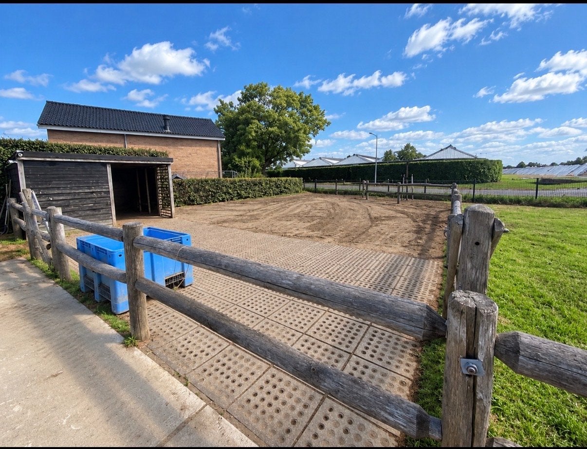 Paddock gras weide stalling stal uitloop in Heemskerk, Dieren en Toebehoren