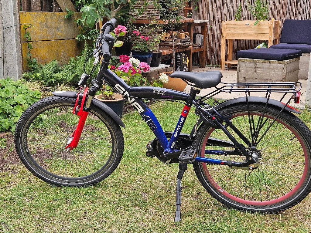Batavus Snake 24 inch, Ophalen, Terugtraprem, Batavus, Handrem