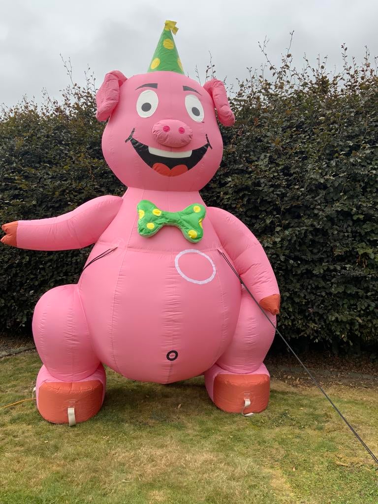 Feestvarken te huur hoogte 4.50 m, Ophalen, Zo goed als nieuw, Overige