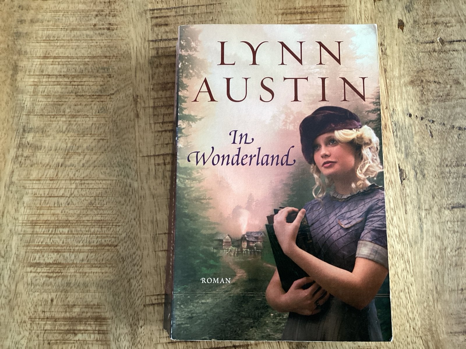 Lynn Austin - In Wonderland (Roman), Ophalen of Verzenden, Gelezen, Nederland