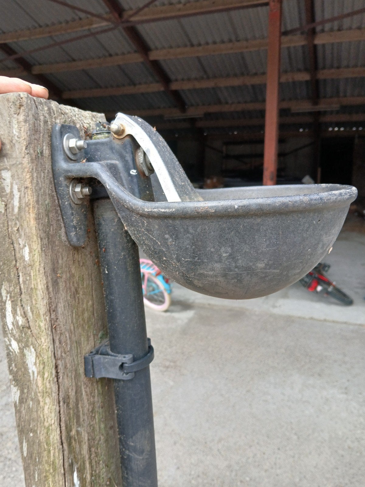 2 geëmailleerde drinkbakken voor paarden/pony's, Dieren en Toebehoren