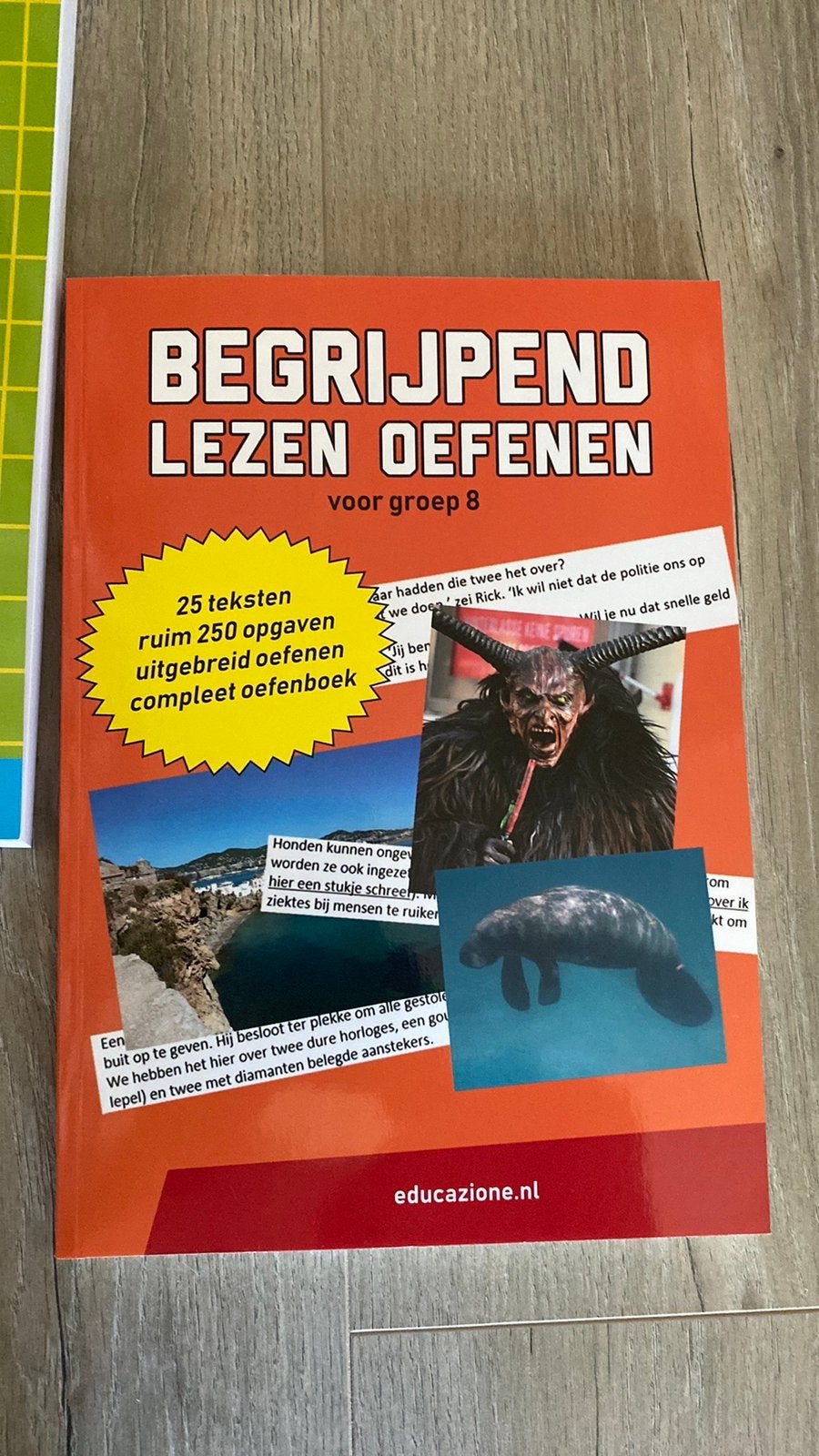 Begrijpend lezen groep 8 oefenen - Cito - Leerling in Beeld, Verzenden, Nieuw, Overige niveaus, Nederlands