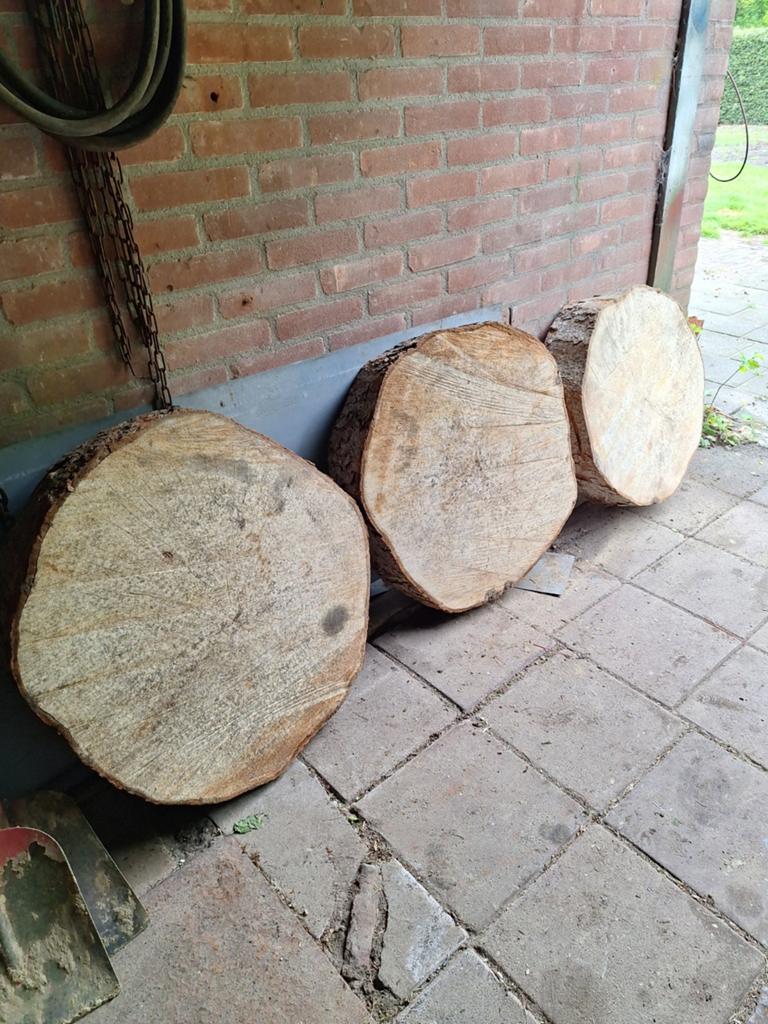 Boomschijven. Stamschijven., Ophalen, Overige houtsoorten, Minder dan 200 cm, Plank