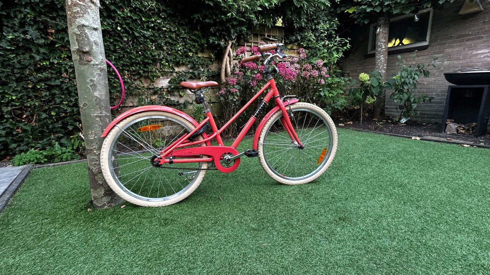 Hippe meiden fiets, Ophalen, Terugtraprem, Staal, Overige typen