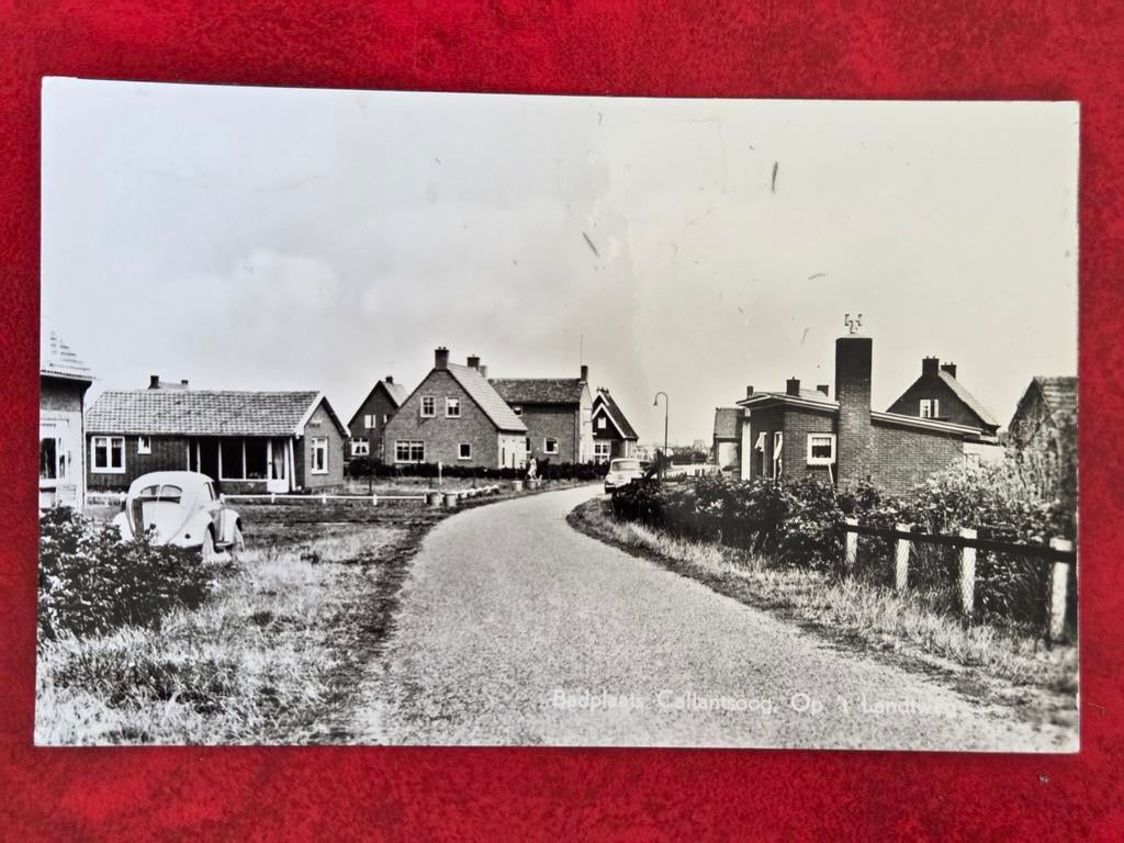 Callantsoog bij Julianadorp Op 't Landtweg met Bril Kever, Verzamelen, Ophalen of Verzenden, Utrecht