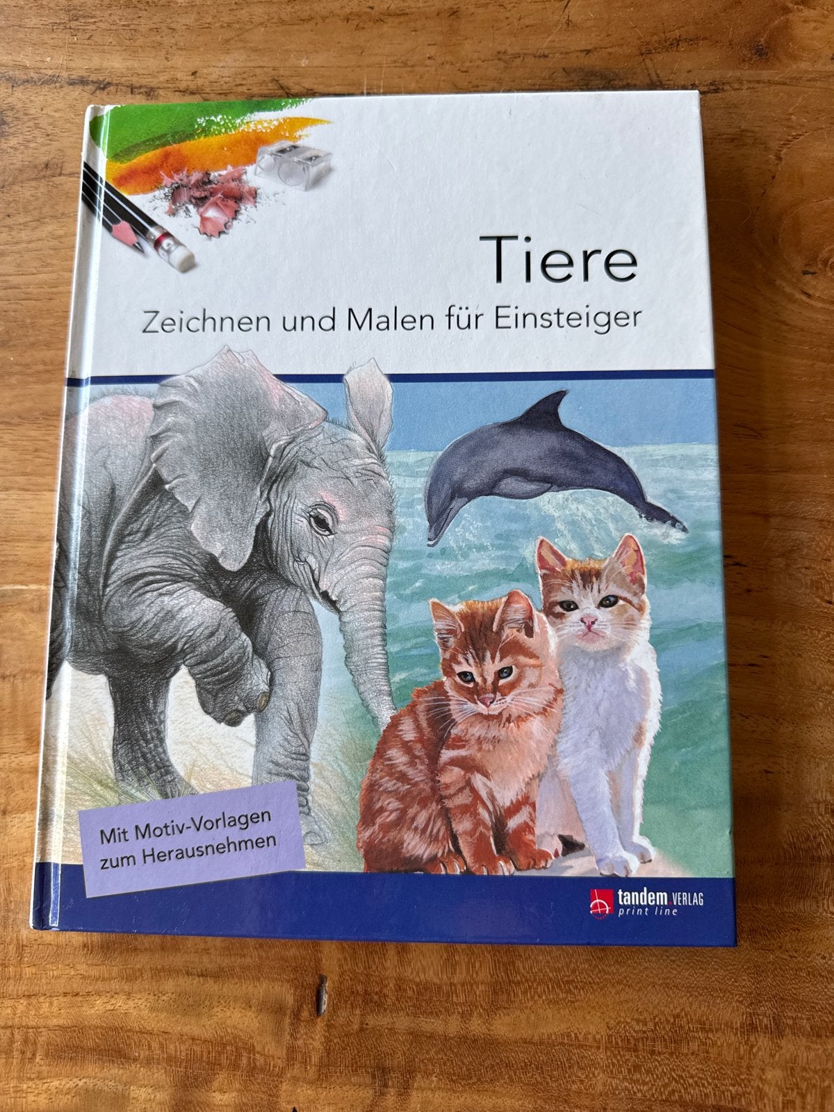 Tiere: Tekenen en Schilderen voor Beginners, Ophalen of Verzenden, Zo goed als nieuw, Tekenen en Schilderen, Geschikt voor kinderen