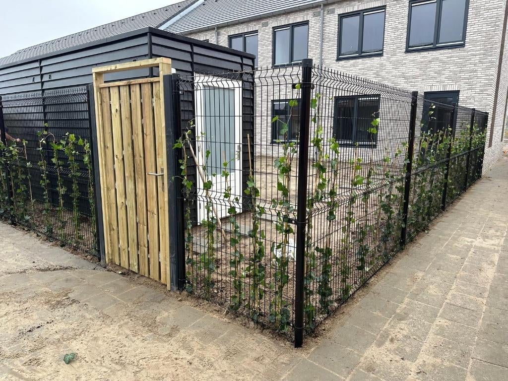 Hekwerk (met hedera) variabele hoogtes, Ophalen, Nieuw, IJzer, Enkelstaafmat hekwerk