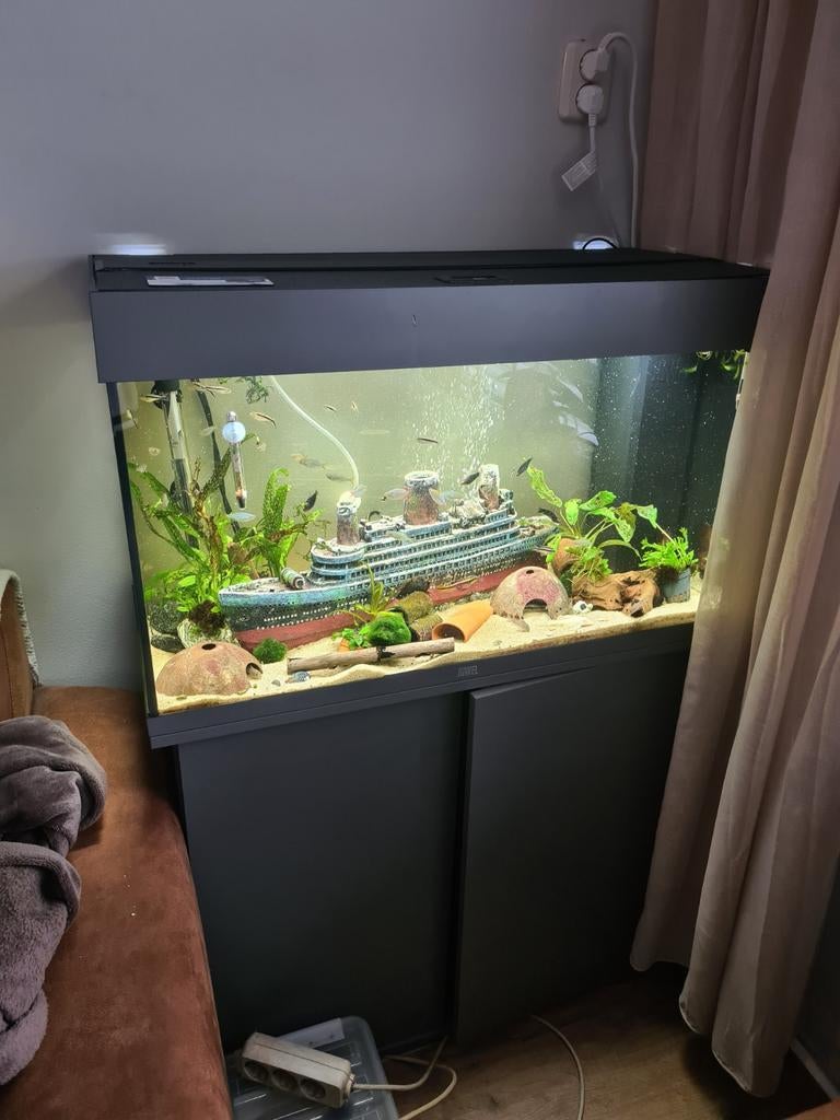 Aquarium 125 liter, Ophalen, Gevuld zoetwateraquarium