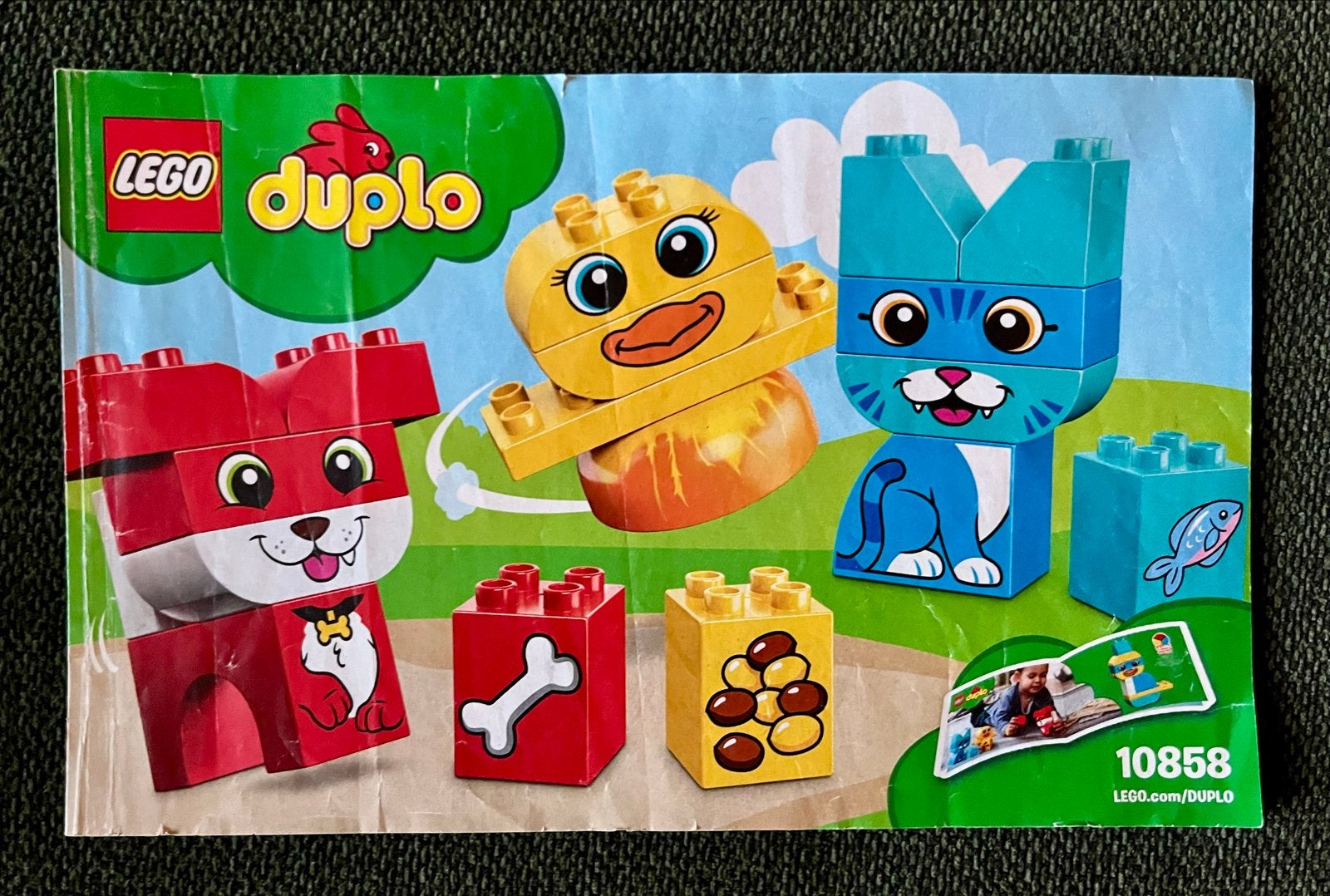 LEGO Duplo Mijn Eerste Dieren Set 10858, Ophalen, Zo goed als nieuw, Compleet, Duplo