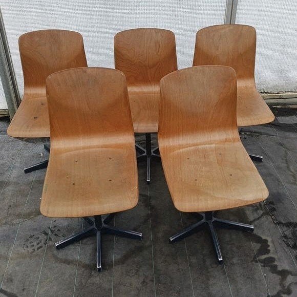5 Pagholz schelp stoelen met kruisvoet in hoogte verstelbaar, Huis en Inrichting, Stoelen, Ophalen, Gebruikt, Overige kleuren