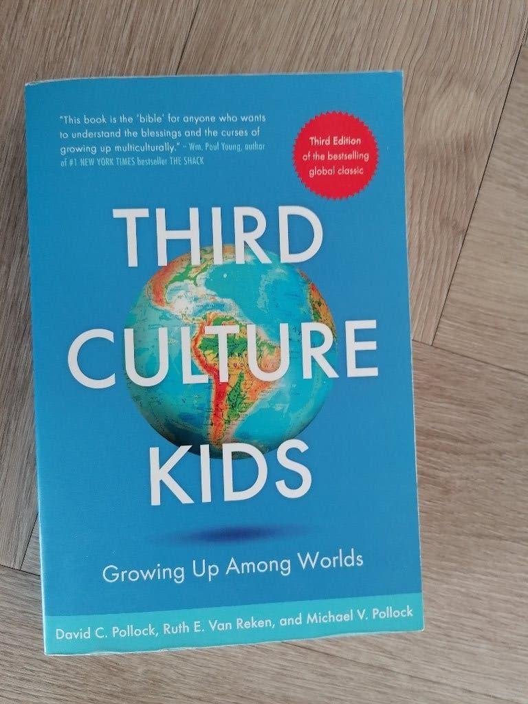 Boek Third Culture Kids, Gelezen, David C. Pollock, Ophalen of Verzenden, Ontwikkelingspsychologie